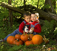 Boys with Pumpkins